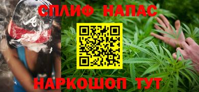 мдпв Бийск