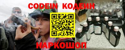 мдпв Бийск