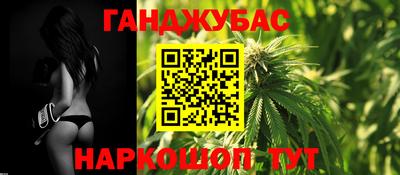 мдпв Бийск