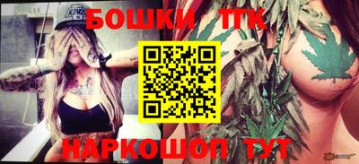 мдпв Бийск