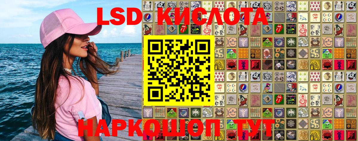 купить наркотик  Наркотические марки 1500мкг  Наркотические марки 1500мкг  Вход с VPN  Ставрополь 