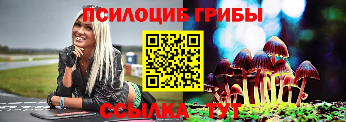 Галлюциногенные грибы Psilocybe  Псилоцибиновые грибы Cubensis  Ставрополь  Вход с VPN 