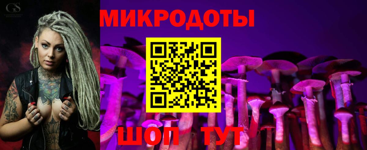 Псилоцибиновые грибы Magic Shrooms Ставрополь
